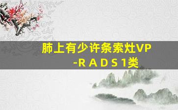 肺上有少许条索灶VP -R A D S 1类